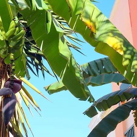 Starnerja Ii Apartamento