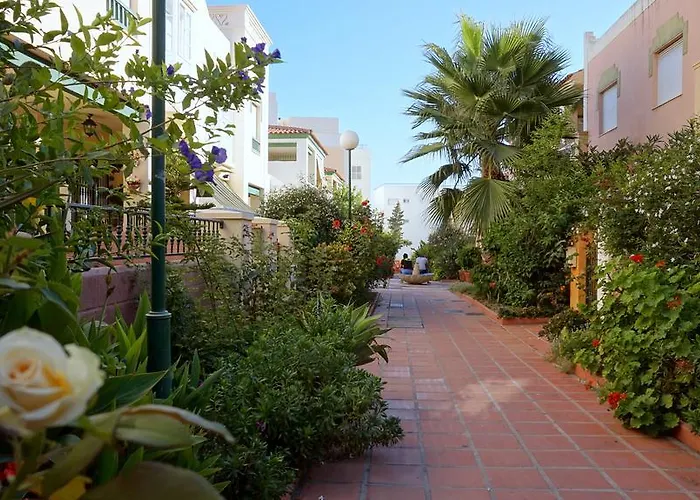 Starnerja Ii Nerja