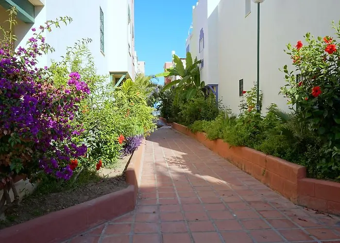 Starnerja Ii Nerja