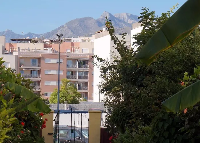 Starnerja Ii Nerja